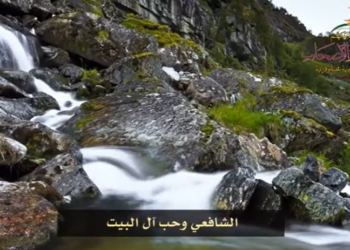 الشافعي وحب آل البيت